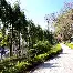皇冠体育-包含波士顿凯尔特人篮板制胜备战欧联库里连续二十场比赛得分超过逆转，现场解说直呼：全明星赛清晨再迎强敌的词条